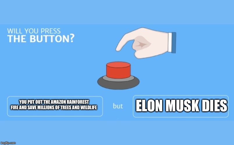 Will you press the button | YOU PUT OUT THE AMAZON RAINFOREST FIRE AND SAVE MILLIONS OF TREES AND WILDLIFE; ELON MUSK DIES | image tagged in will you press the button | made w/ Imgflip meme maker