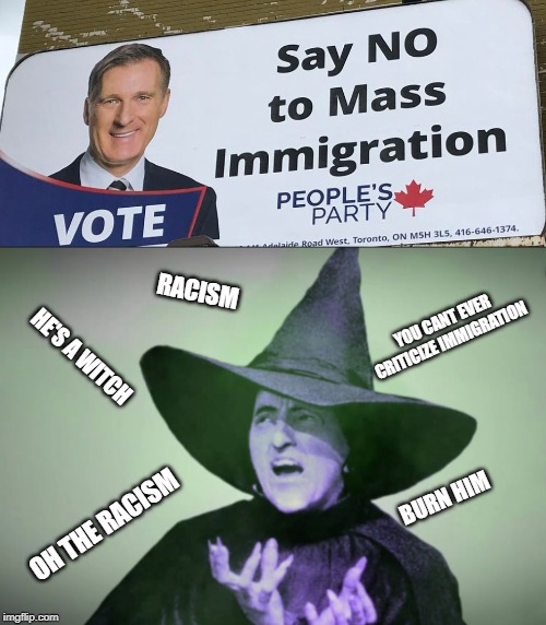 Madness | RACISM; YOU CANT EVER CRITICIZE IMMIGRATION; HE'S A WITCH; BURN HIM; OH THE RACISM | image tagged in racism,meanwhile in canada,madness,insanity,liberal logic,liberal hypocrisy | made w/ Imgflip meme maker