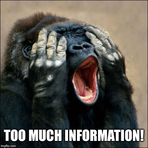 Gorilla covering eyes | TOO MUCH INFORMATION! | image tagged in gorilla covering eyes | made w/ Imgflip meme maker