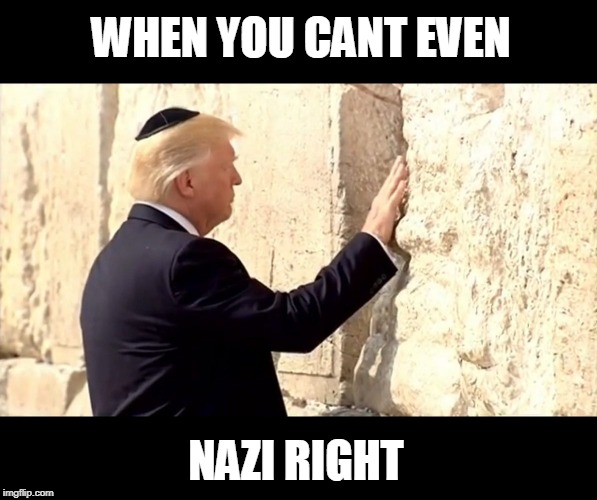 Nazis fail | WHEN YOU CANT EVEN NAZI RIGHT | image tagged in nazis fail | made w/ Imgflip meme maker