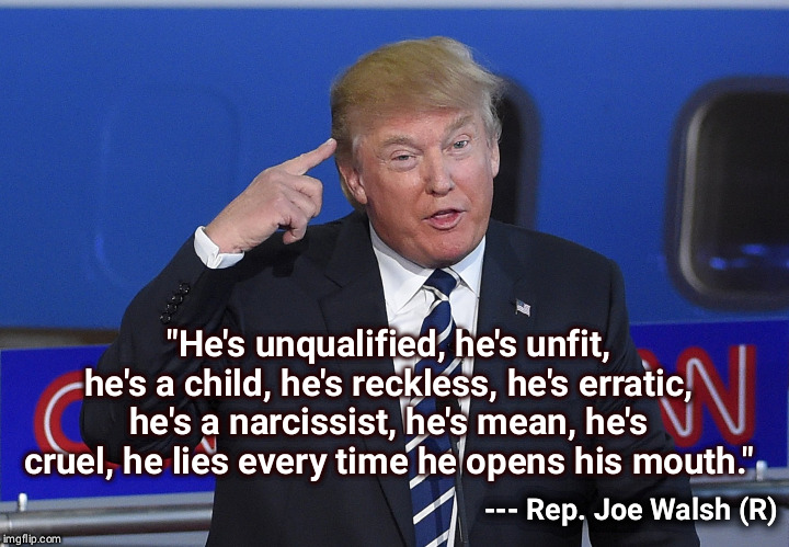 Cataloging Trump | "He's unqualified, he's unfit, he's a child, he's reckless, he's erratic, he's a narcissist, he's mean, he's cruel, he lies every time he opens his mouth."; --- Rep. Joe Walsh (R) | image tagged in trump crazy,unfit,erratic,unqualified,child,trump | made w/ Imgflip meme maker