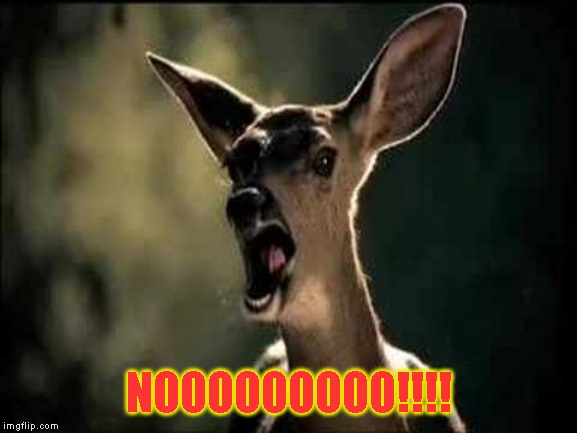 Deer Scream | NOOOOOOOOO!!!! | image tagged in deer scream | made w/ Imgflip meme maker