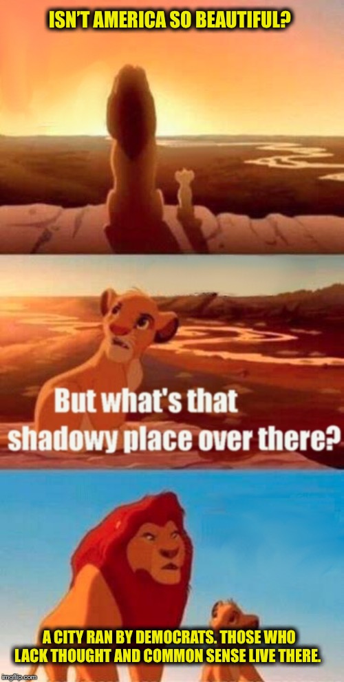 Simba Shadowy Place Meme | ISN’T AMERICA SO BEAUTIFUL? A CITY RAN BY DEMOCRATS. THOSE WHO LACK THOUGHT AND COMMON SENSE LIVE THERE. | image tagged in memes,simba shadowy place,democrats,democratic party,electoral college | made w/ Imgflip meme maker