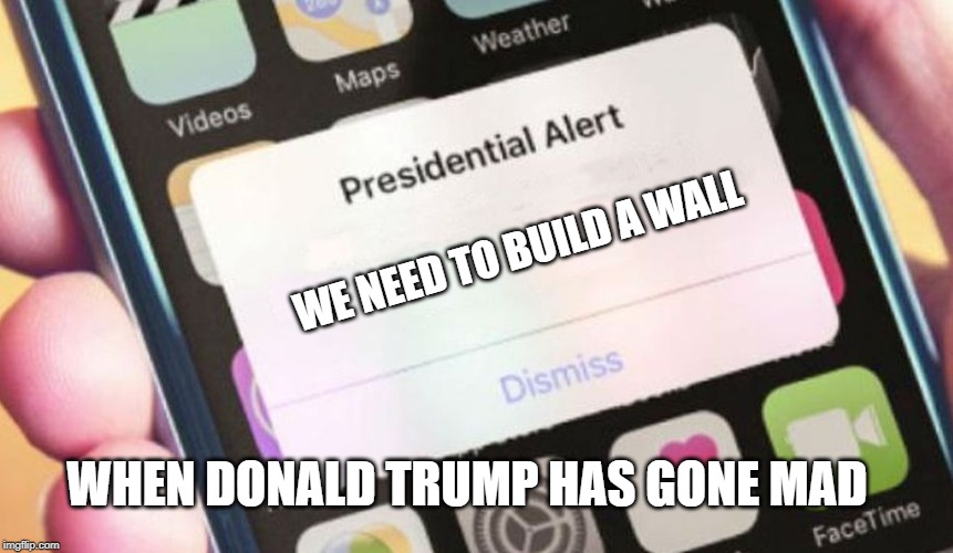 Presidential Alert | WE NEED TO BUILD A WALL; WHEN DONALD TRUMP HAS GONE MAD | image tagged in memes,presidential alert | made w/ Imgflip meme maker