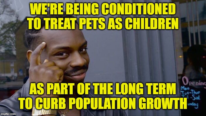 Roll Safe Think About It Meme | WE'RE BEING CONDITIONED TO TREAT PETS AS CHILDREN AS PART OF THE LONG TERM TO CURB POPULATION GROWTH | image tagged in memes,roll safe think about it | made w/ Imgflip meme maker