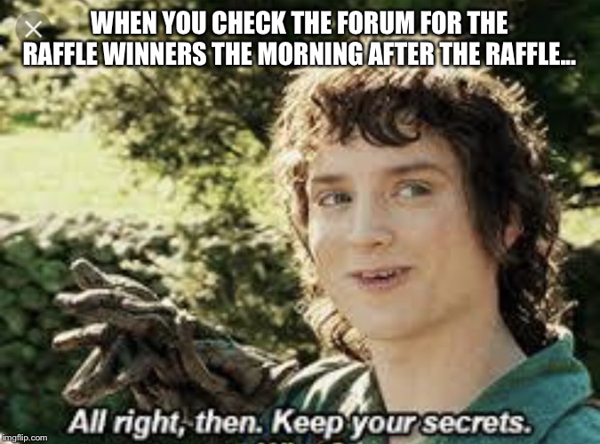 Frodo secrets | WHEN YOU CHECK THE FORUM FOR THE RAFFLE WINNERS THE MORNING AFTER THE RAFFLE... | image tagged in frodo secrets | made w/ Imgflip meme maker