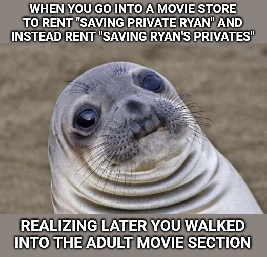 Awkward Moment Sealion Meme | WHEN YOU GO INTO A MOVIE STORE TO RENT "SAVING PRIVATE RYAN" AND INSTEAD RENT "SAVING RYAN'S PRIVATES"; REALIZING LATER YOU WALKED INTO THE ADULT MOVIE SECTION | image tagged in memes,awkward moment sealion | made w/ Imgflip meme maker