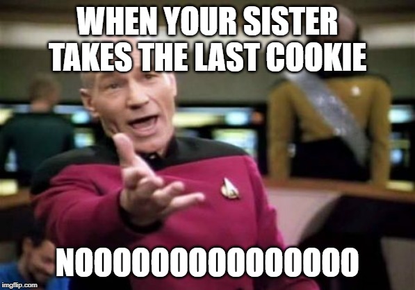 Picard Wtf Meme | WHEN YOUR SISTER TAKES THE LAST COOKIE; NOOOOOOOOOOOOOOO | image tagged in memes,picard wtf | made w/ Imgflip meme maker