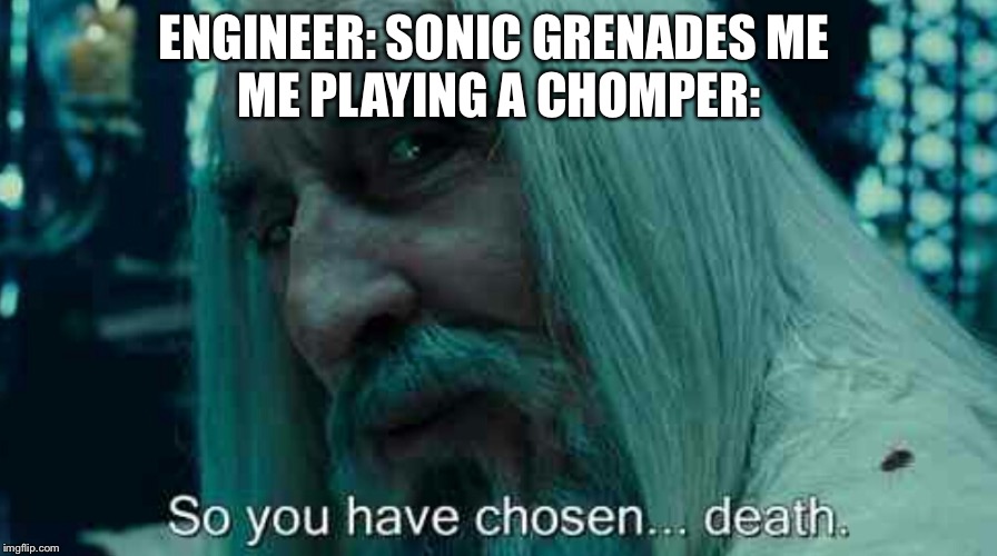 So you have chosen death | ENGINEER: SONIC GRENADES ME 
ME PLAYING A CHOMPER: | image tagged in so you have chosen death | made w/ Imgflip meme maker