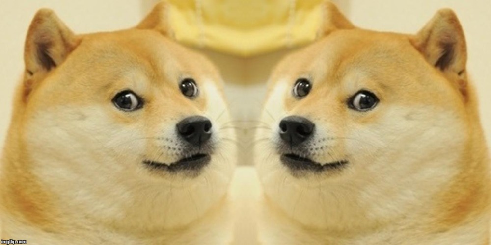 double doge | image tagged in memes,doge | made w/ Imgflip meme maker