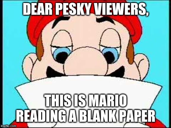 Hotel Mario Letter | DEAR PESKY VIEWERS, THIS IS MARIO READING A BLANK PAPER | image tagged in hotel mario letter | made w/ Imgflip meme maker