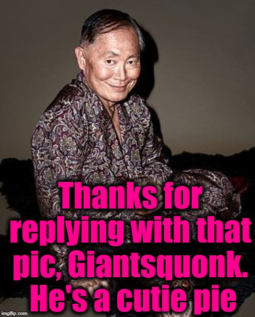George Takei | Thanks for replying with that pic, Giantsquonk.  He's a cutie pie | image tagged in george takei | made w/ Imgflip meme maker