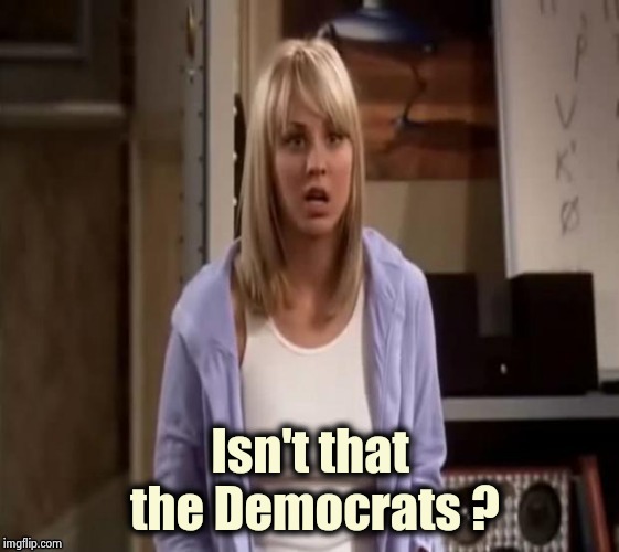 Confused Penny | Isn't that
 the Democrats ? | image tagged in confused penny | made w/ Imgflip meme maker