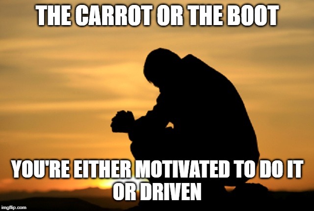 Deep thought | THE CARROT OR THE BOOT; YOU'RE EITHER MOTIVATED TO DO IT
OR DRIVEN | image tagged in deep thought | made w/ Imgflip meme maker