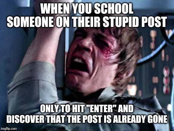 Luke Skywalker Noooo | WHEN YOU SCHOOL SOMEONE ON THEIR STUPID POST; ONLY TO HIT "ENTER" AND DISCOVER THAT THE POST IS ALREADY GONE | image tagged in luke skywalker noooo | made w/ Imgflip meme maker