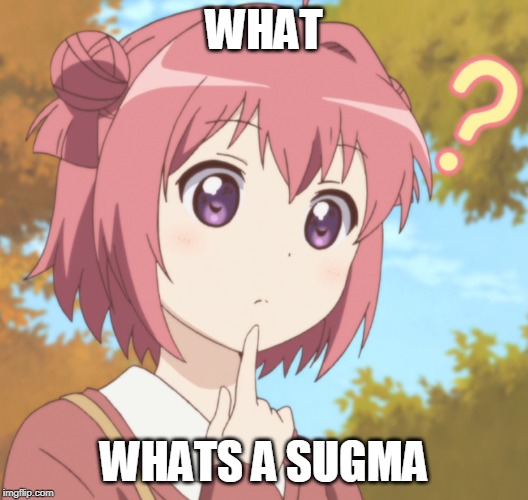 i herd i have it wil died? | WHAT; WHATS A SUGMA | image tagged in help | made w/ Imgflip meme maker