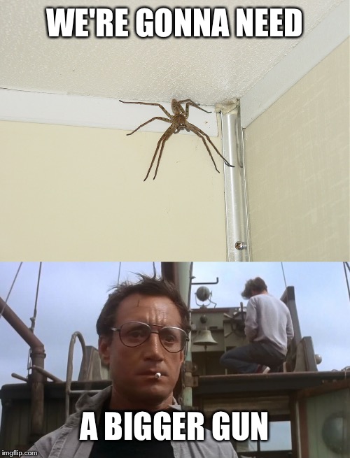 WE'RE GONNA NEED A BIGGER GUN | image tagged in going to need a bigger boat,huge spider | made w/ Imgflip meme maker