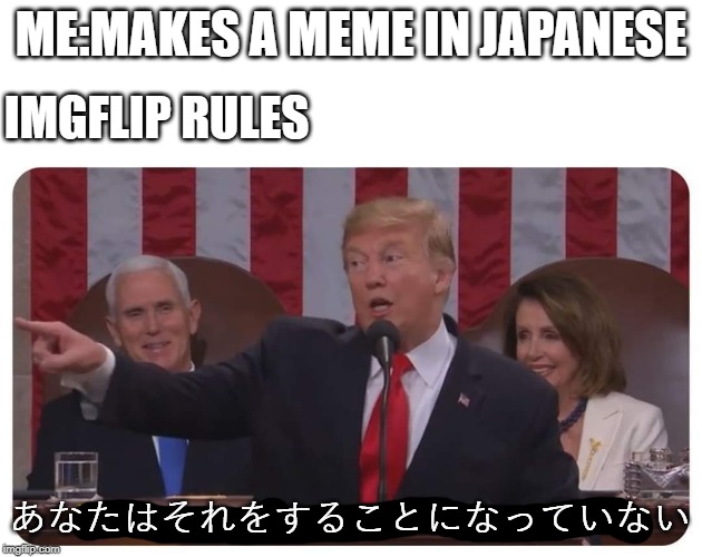 You weren't supposed to do that | IMGFLIP RULES; ME:MAKES A MEME IN JAPANESE; あなたはそれをすることになっていない | image tagged in you weren't supposed to do that | made w/ Imgflip meme maker