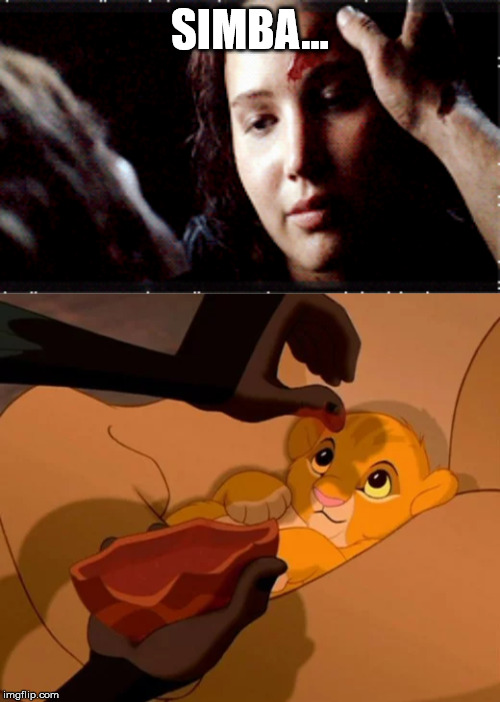 SIMBA... | image tagged in disney,hunger games | made w/ Imgflip meme maker