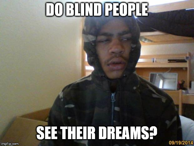 Hits Blunt | DO BLIND PEOPLE; SEE THEIR DREAMS? | image tagged in hits blunt | made w/ Imgflip meme maker
