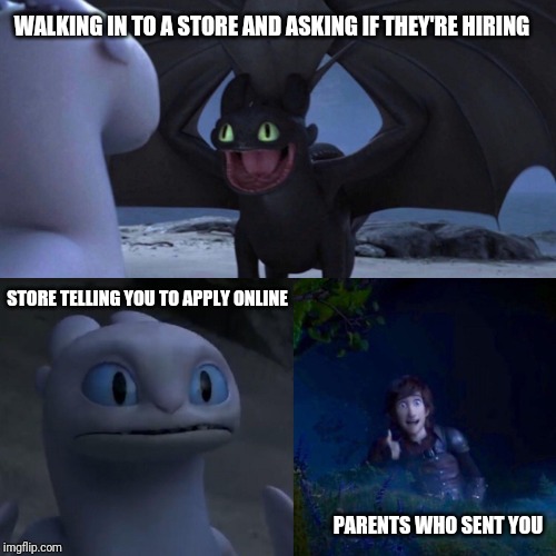 night fury | WALKING IN TO A STORE AND ASKING IF THEY'RE HIRING; STORE TELLING YOU TO APPLY ONLINE; PARENTS WHO SENT YOU | image tagged in night fury | made w/ Imgflip meme maker