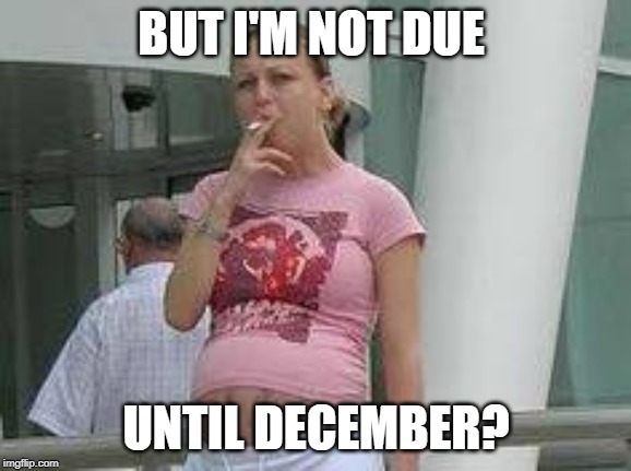 Smoking pregnant whore | BUT I'M NOT DUE UNTIL DECEMBER? | image tagged in smoking pregnant whore | made w/ Imgflip meme maker