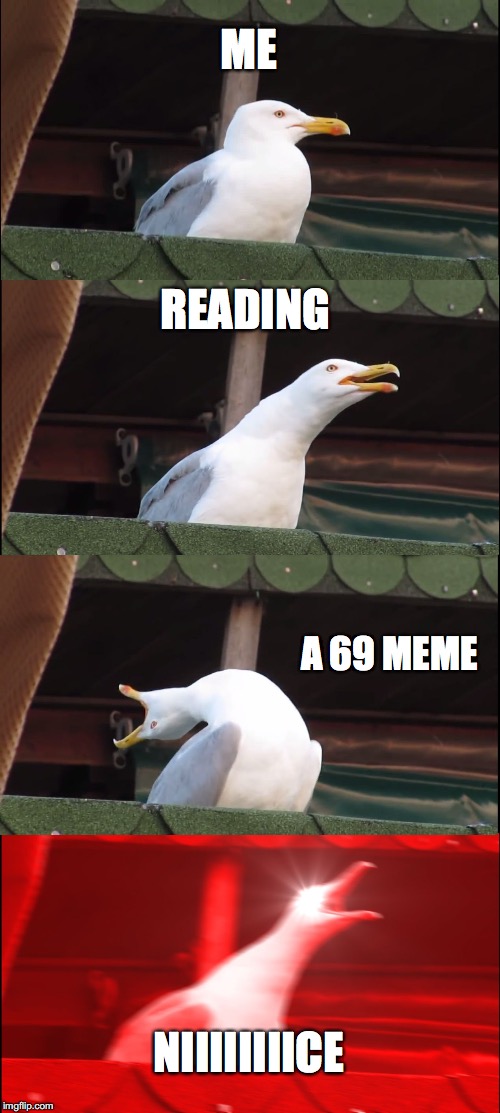 Inhaling Seagull | ME; READING; A 69 MEME; NIIIIIIIICE | image tagged in memes,inhaling seagull | made w/ Imgflip meme maker