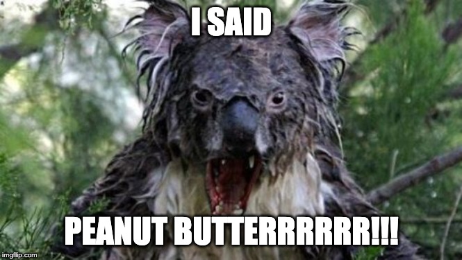 Angry Koala Meme | I SAID; PEANUT BUTTERRRRRR!!! | image tagged in memes,angry koala | made w/ Imgflip meme maker