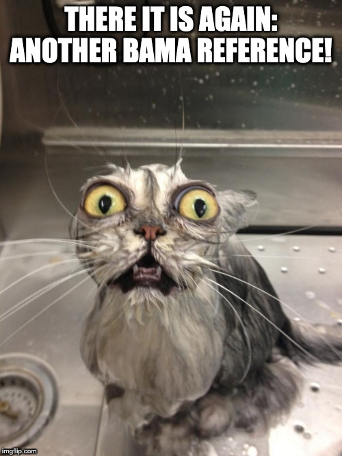 Scared Cat | THERE IT IS AGAIN: ANOTHER BAMA REFERENCE! | image tagged in scared cat | made w/ Imgflip meme maker