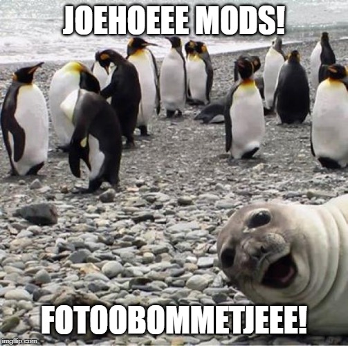 Photobomb | JOEHOEEE MODS! FOTOOBOMMETJEEE! | image tagged in photobomb | made w/ Imgflip meme maker