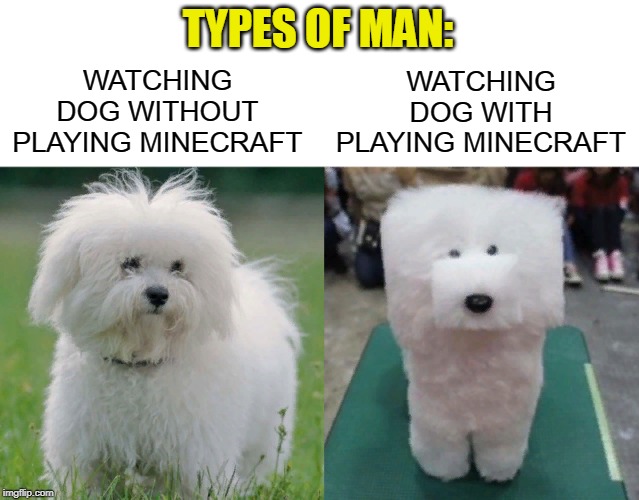 Types of man: Watching dog with and without playing minecraft! | TYPES OF MAN:; WATCHING DOG WITH PLAYING MINECRAFT; WATCHING DOG WITHOUT PLAYING MINECRAFT | image tagged in nixieknox,minecraft,funny,dog,wtf,logic | made w/ Imgflip meme maker