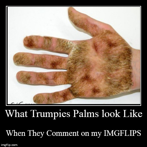 Trumpie Hands-It's Not The Size That matters | image tagged in funny,demotivationals,small hands,hairy,hygiene,hand jokes | made w/ Imgflip demotivational maker