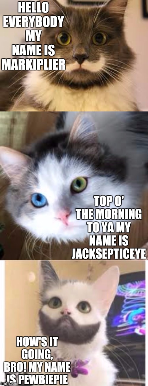 Yt gang | HELLO EVERYBODY MY NAME IS MARKIPLIER; TOP O' THE MORNING TO YA MY NAME IS JACKSEPTICEYE; HOW'S IT GOING, BRO! MY NAME IS PEWBIEPIE | image tagged in yt gang | made w/ Imgflip meme maker