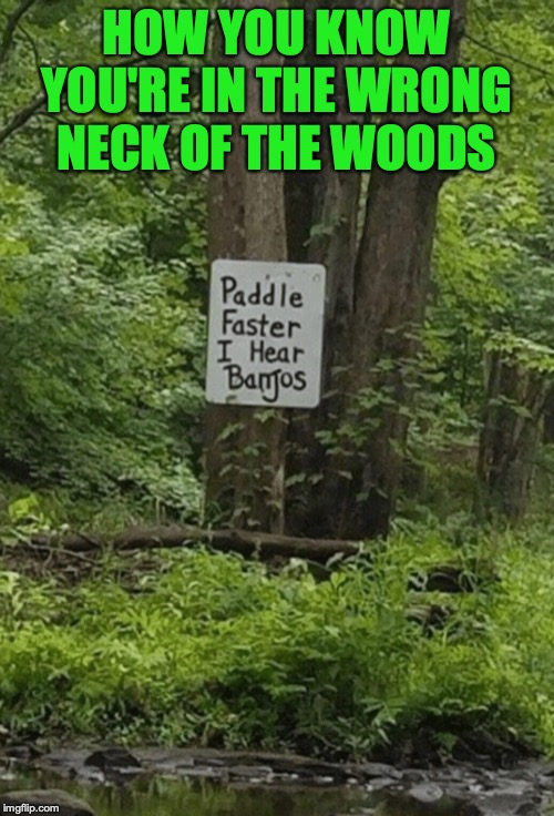 When You Need "Deliverance" From Music Lovers | HOW YOU KNOW YOU'RE IN THE WRONG NECK OF THE WOODS | image tagged in warning sign,funny signs,deliverance,hillbilly,banjo | made w/ Imgflip meme maker