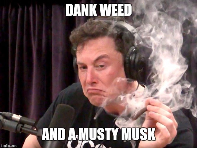 Elon Musk Weed | DANK WEED AND A MUSTY MUSK | image tagged in elon musk weed | made w/ Imgflip meme maker