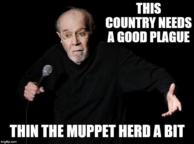 George Carlin | THIS COUNTRY NEEDS A GOOD PLAGUE THIN THE MUPPET HERD A BIT | image tagged in george carlin | made w/ Imgflip meme maker