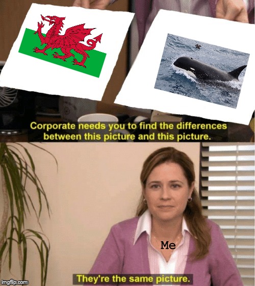 We Demand Wales! | Me | image tagged in office same picture | made w/ Imgflip meme maker