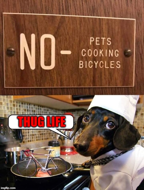 Screw da man! |  THUG LIFE | image tagged in dog chef,memes,cooking,funny,thug life,dogs | made w/ Imgflip meme maker