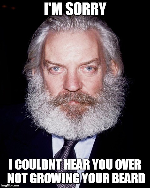 The Most Interesting Man In The World | image tagged in funny,beard | made w/ Imgflip meme maker