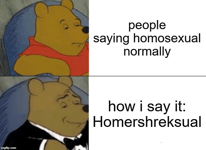 Tuxedo Winnie The Pooh Meme | people saying homosexual normally; how i say it: Homershreksual | image tagged in memes,tuxedo winnie the pooh | made w/ Imgflip meme maker