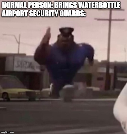 True | NORMAL PERSON: BRINGS WATERBOTTLE
AIRPORT SECURITY GUARDS: | image tagged in airport,security,water | made w/ Imgflip meme maker