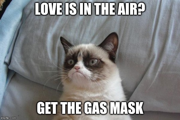 You Can Be Protected From Love By Wearing A Gas Mask | LOVE IS IN THE AIR? GET THE GAS MASK | image tagged in memes,grumpy cat bed,grumpy cat | made w/ Imgflip meme maker