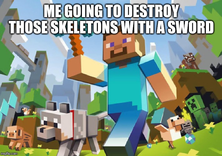 Minecraft  | ME GOING TO DESTROY THOSE SKELETONS WITH A SWORD | image tagged in minecraft | made w/ Imgflip meme maker