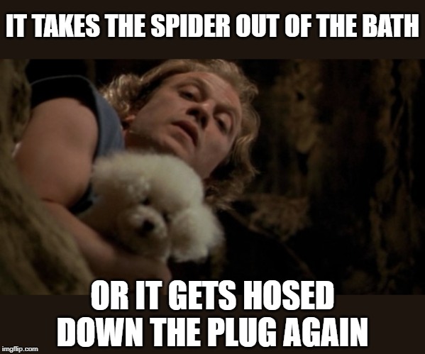 Silence of the lambs lotion | IT TAKES THE SPIDER OUT OF THE BATH OR IT GETS HOSED DOWN THE PLUG AGAIN | image tagged in silence of the lambs lotion | made w/ Imgflip meme maker