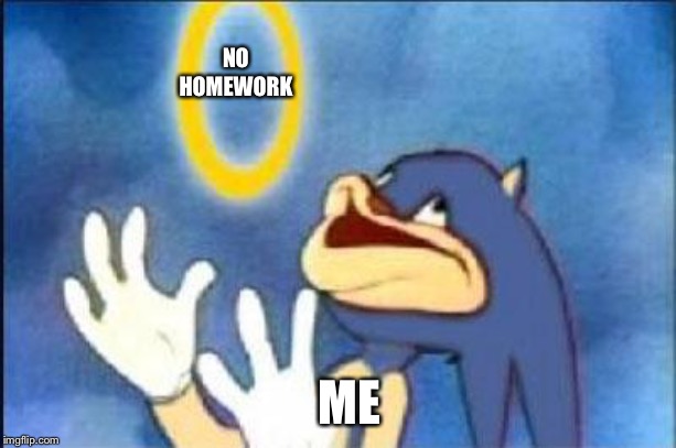 Me in a Nutshell 3 | NO HOMEWORK; ME | image tagged in sonic derp,homework,me,sonic the hedgehog | made w/ Imgflip meme maker