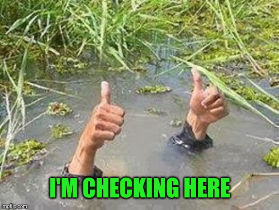 FLOODING THUMBS UP | I'M CHECKING HERE | image tagged in flooding thumbs up | made w/ Imgflip meme maker