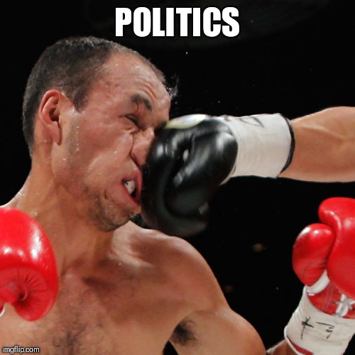 Boxer Getting Punched In The Face | POLITICS | image tagged in boxer getting punched in the face | made w/ Imgflip meme maker