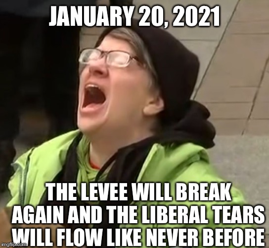 snowflake | JANUARY 20, 2021; THE LEVEE WILL BREAK AGAIN AND THE LIBERAL TEARS WILL FLOW LIKE NEVER BEFORE | image tagged in snowflake,election 2020,donald trump,libtards | made w/ Imgflip meme maker