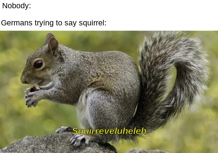 Best way to find the German spy | Nobody:; Germans trying to say squirrel:; Squirreveluheleh | image tagged in squirrel,germany,germans,top gear | made w/ Imgflip meme maker