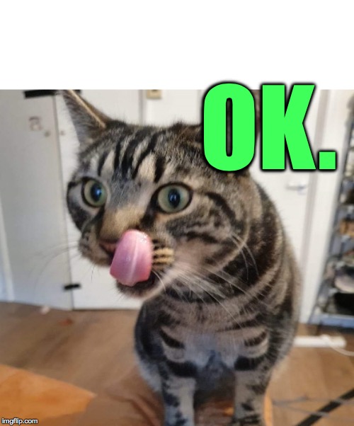Cat licking itself | OK. | image tagged in cat licking itself | made w/ Imgflip meme maker